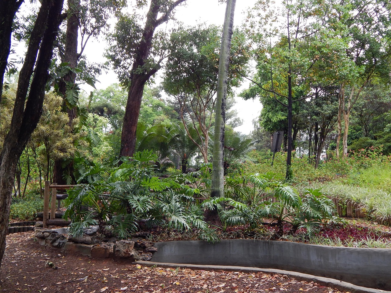 Aire Du Jardin Des Arbres