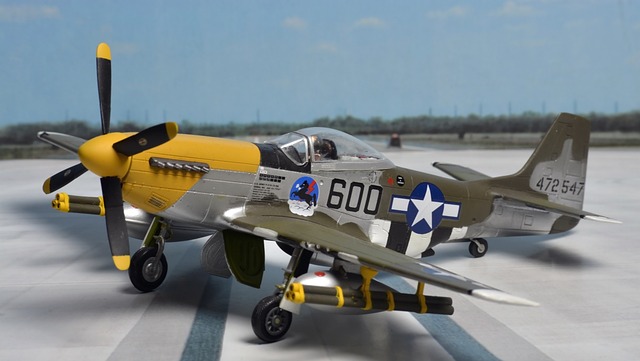 Free Vintage Model Airplane photo and picture