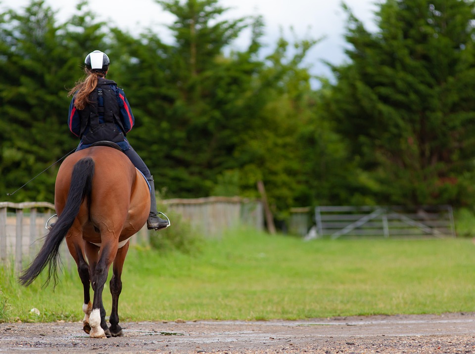Horse Riding Girl - Free photo on Pixabay - Pixabay