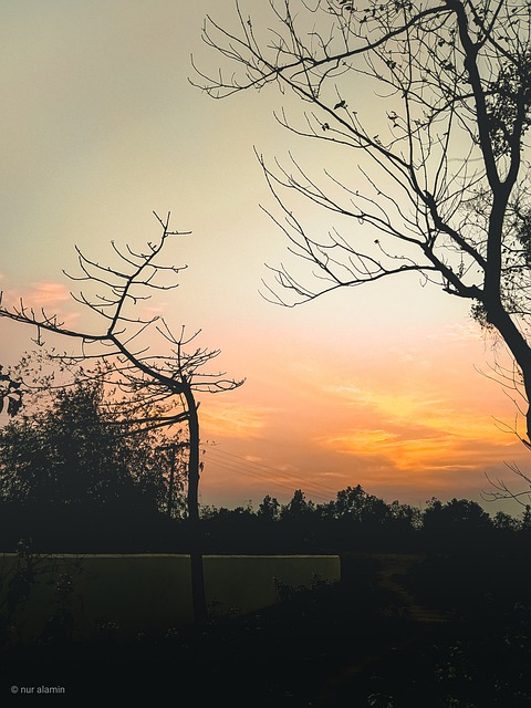 Free Sunset Sun photo and picture