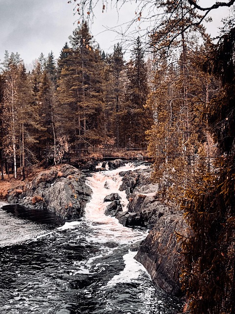 Free Водопад Карелия photo and picture