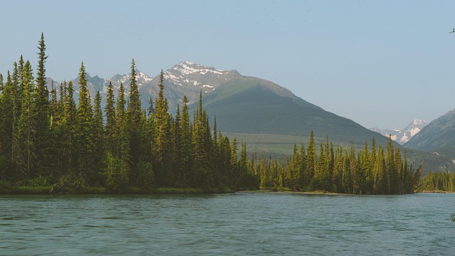 Free Mountains Trees photo and picture