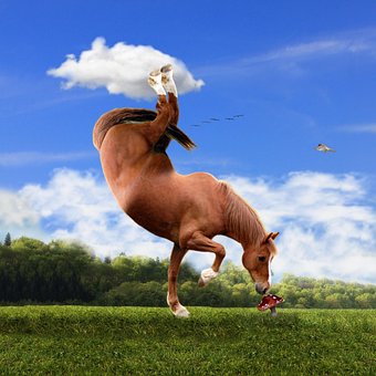 Tutorials, Tiere, Pferd