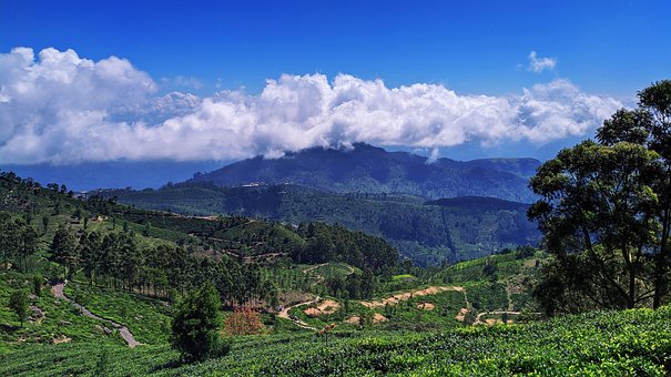 Free Blue Sky photo and picture