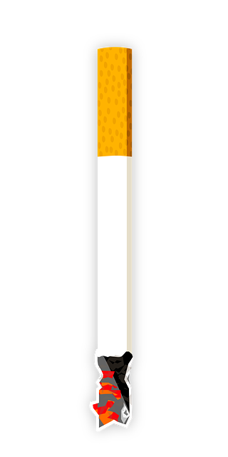 Free cigarette tobacco nicotine vector