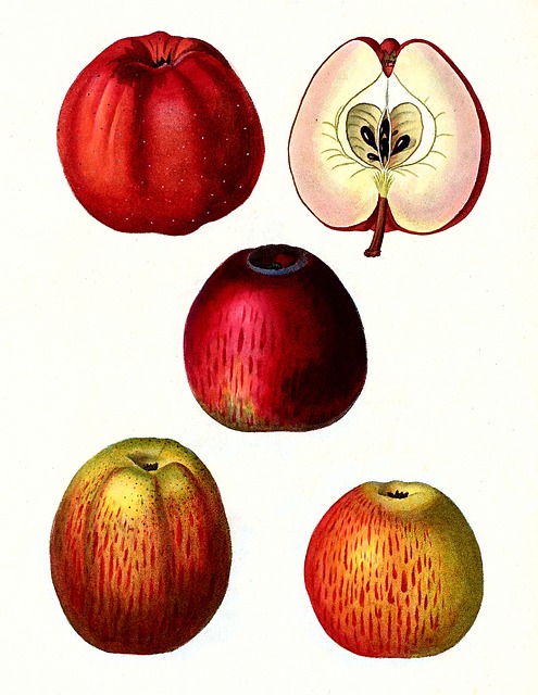 Apfel, Jahrgang, Obst, Lebensmittel, Süß