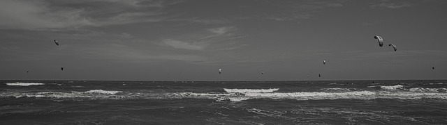 Free Sea Beach photo and picture