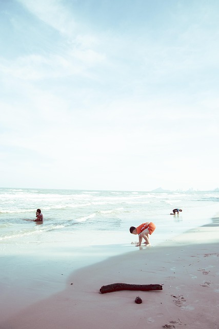 Free Sea Beach photo and picture