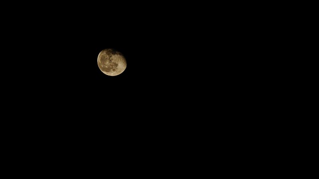 Free Moon Night photo and picture