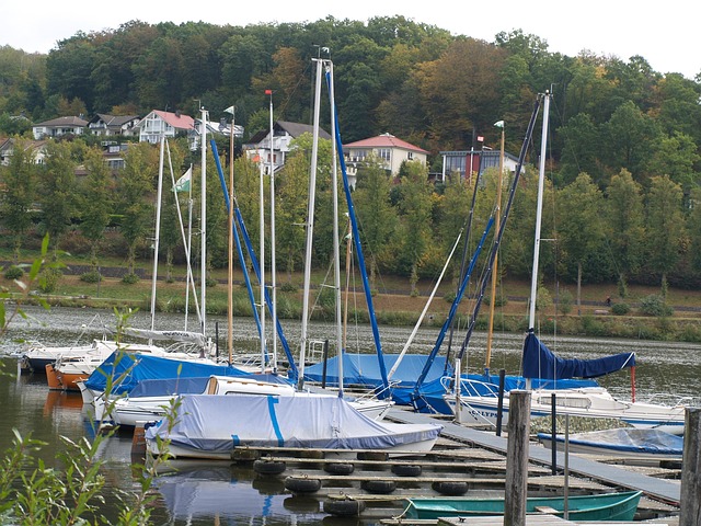 Free Lake Sailboat photo and picture