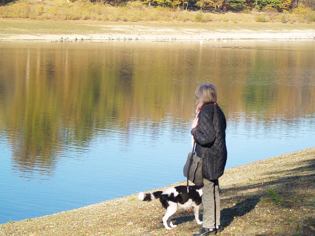 Free Morning Walk Lake photo and picture