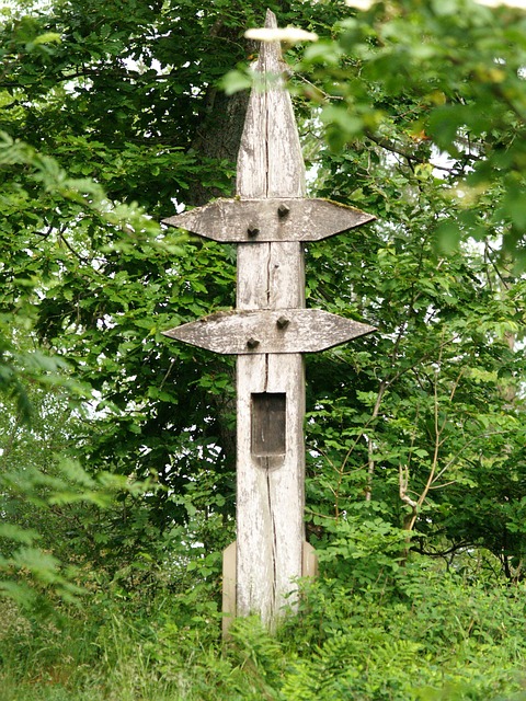 Free Femekreuz Nature photo and picture