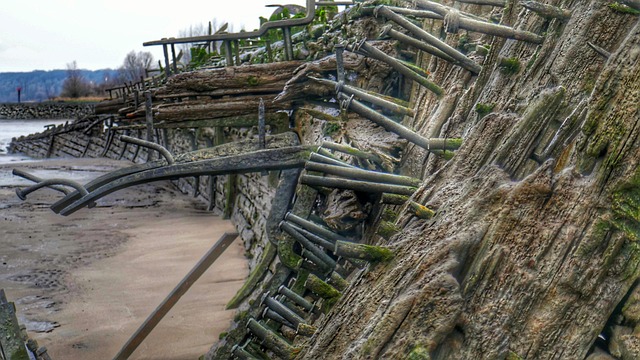 Free Wreck Ship Wreck photo and picture