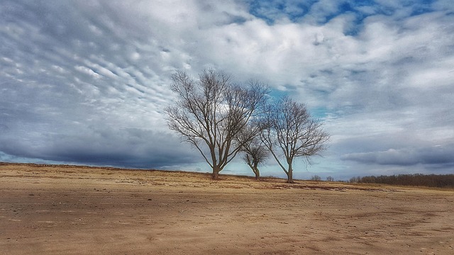 Free Elbe Beach Elbe Bank photo and picture