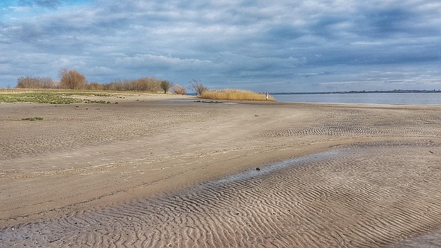 Free Elbe Bank Elbe Caribbean photo and picture