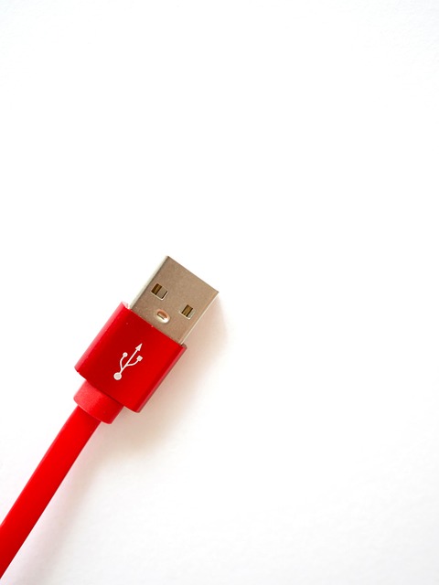 Free Plug Usb photo and picture