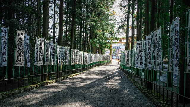 Free Japan Flag photo and picture