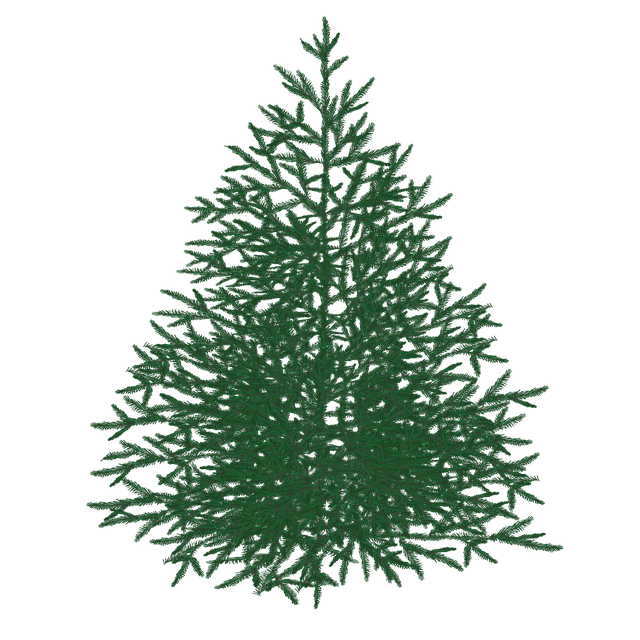 Gran, Weihnachtsbaum, Baum, Weihnachten