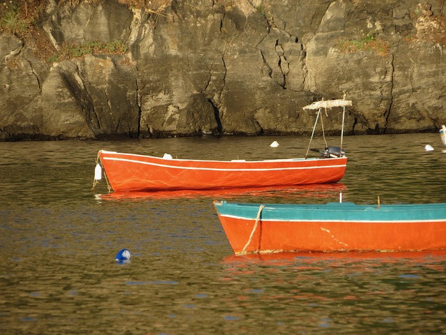 Free Boat Ischia photo and picture