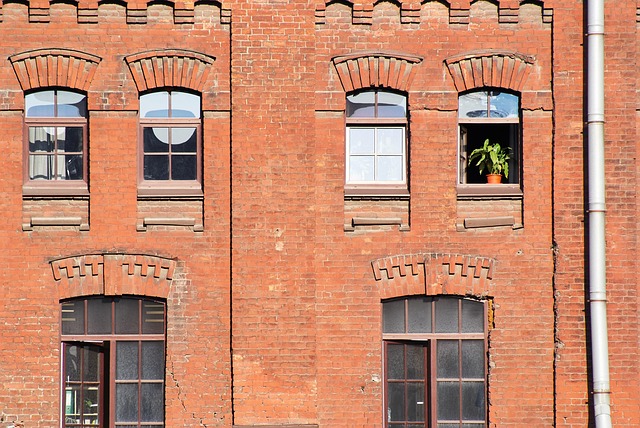 Free Old Factory Flower photo and picture