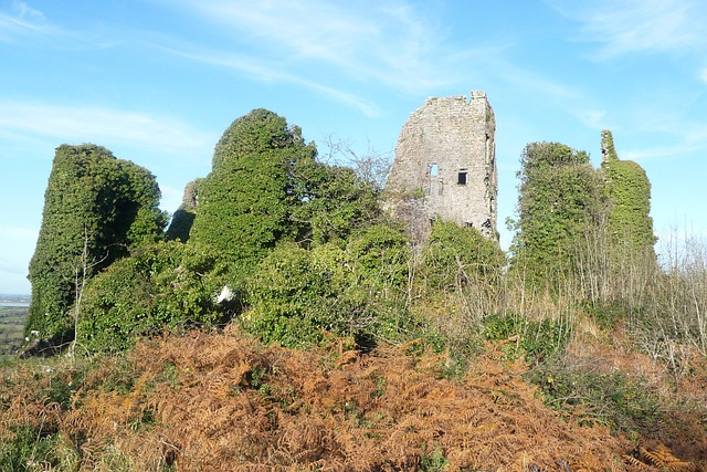 Free Castle Ireland photo and picture