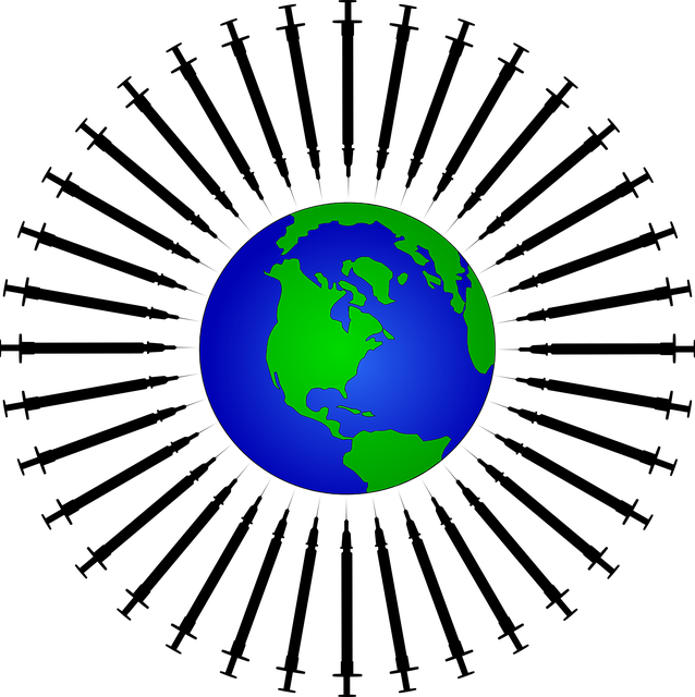 Free syringe earth injection vector