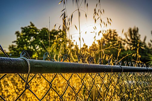 Free Fence Demarcation photo and picture