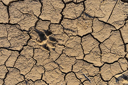 Free Desert Background photo and picture