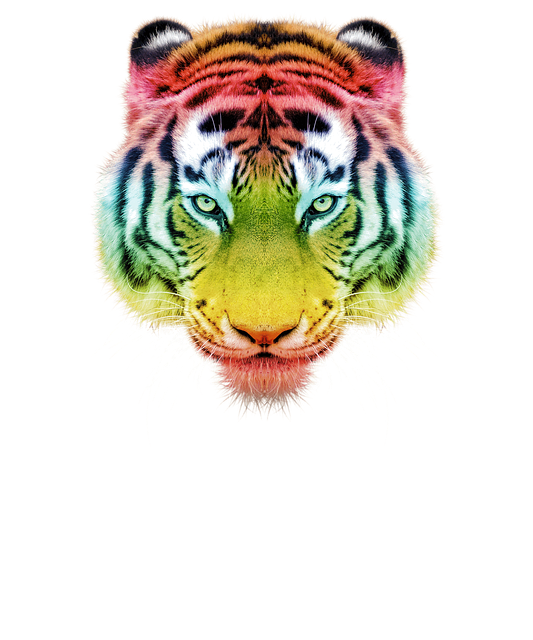 Tigre, Psicodélico, Trippy, Groovy