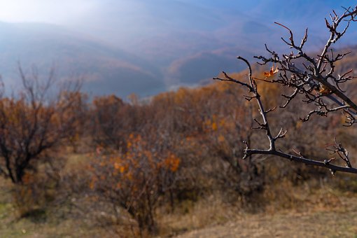 Free Autumn Landscape photo and picture