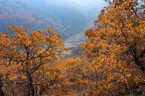 Free Autumn Landscape photo and picture