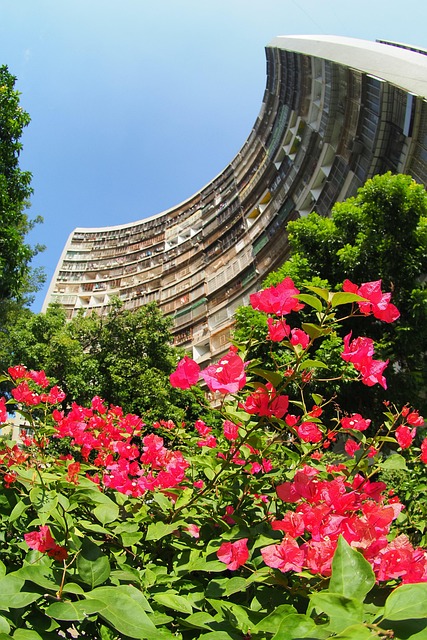 Taiwan, Kaohsiung, Orașul Kaohsiung