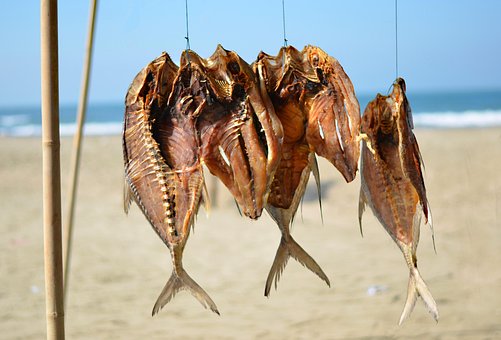 Free Dry Fish Dead Fish photo and picture