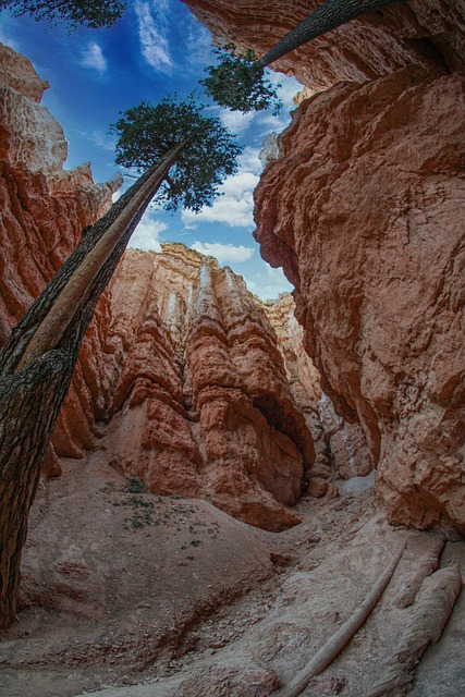 America, Bryce, Parque Nacional