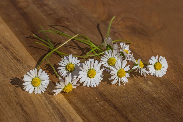 Toate Bune, Floare, Salut Floral