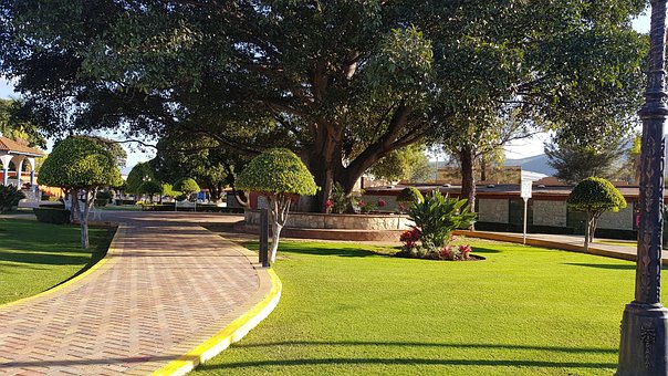 Free The Tule Park photo and picture
