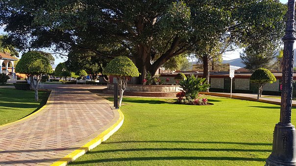 Free The Tule Park photo and picture