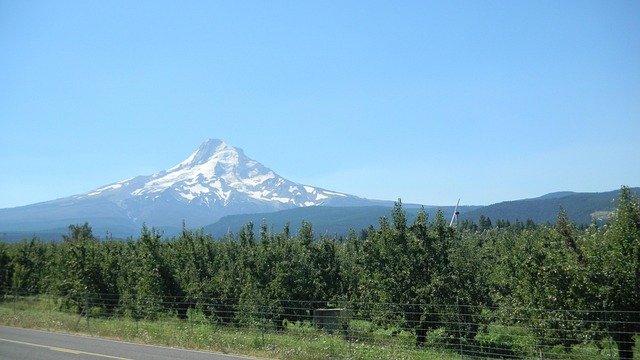 Free Mt Hood Landscape photo and picture