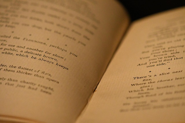 Free Book Open Book photo and picture
