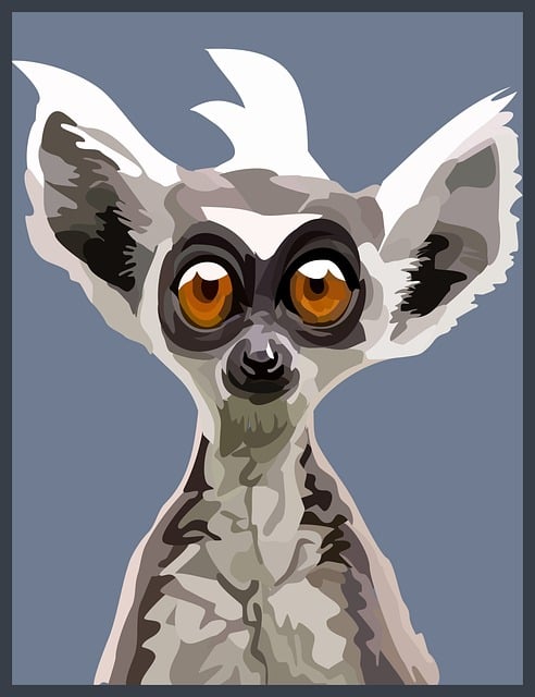 Free lemur primate ape vector