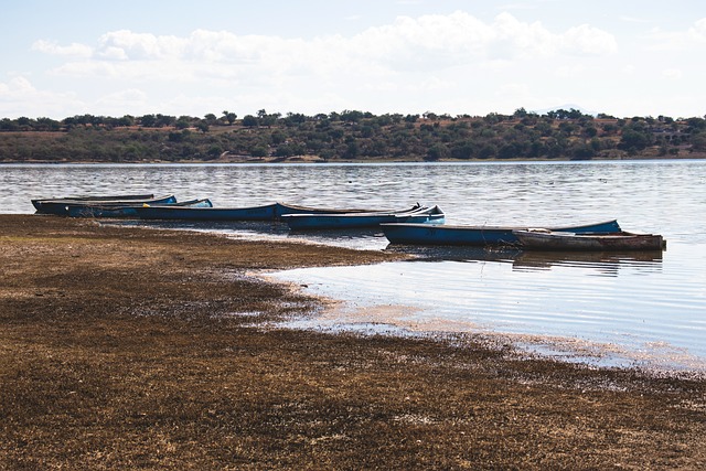 boats, lake, grass, water, shore, coast, dry, nature, trees, dock