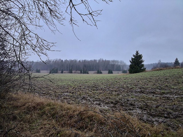 Efterår, Mark, Overskyet, Landskab