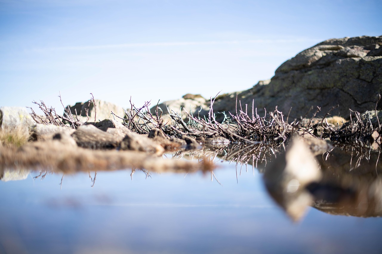 Rocks Puddle Ground Free photo on Pixabay Pixabay