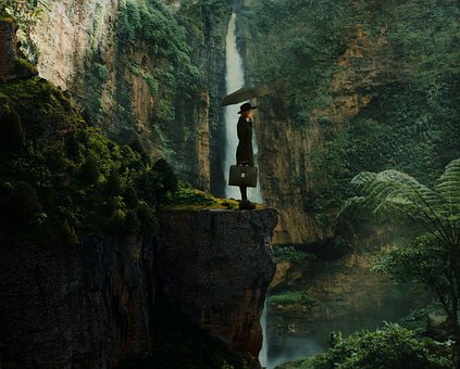 Natur, Grün, Blätter, Wald, Umgebung