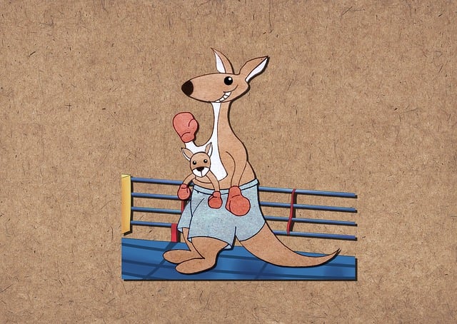 Free kangaroo boxing ring illustration