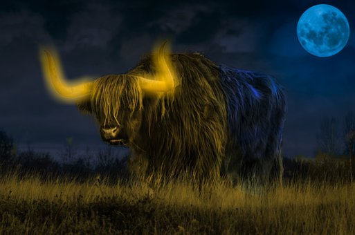 Free Light Night photo and picture