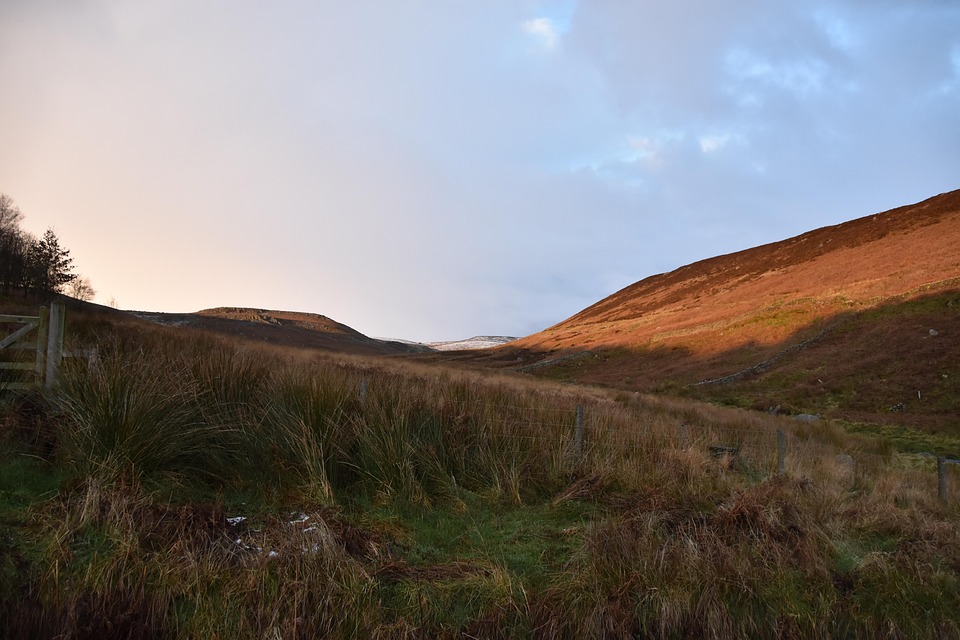 Bracken Hills Grimwith Reservoir Free photo on Pixabay Pixabay