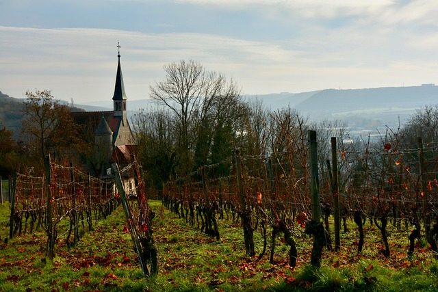Free Chapel Vineyard photo and picture