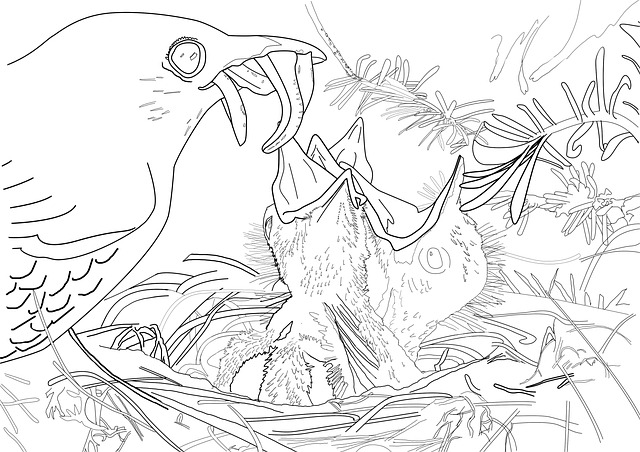 Free birds worms feeding illustration