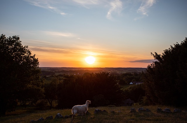 Free Sunset Summer photo and picture